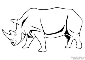 dibujos de rinocerontes animados