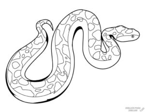 dibujos de serpientes para ninos scaled 1