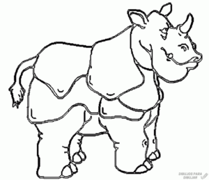 imagenes rinoceronte
