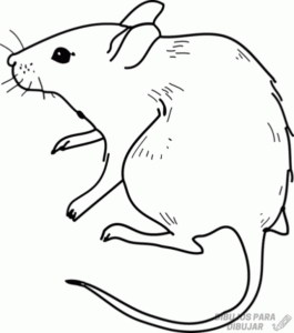 raton para dibujar