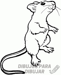 ratoncitos animados 1