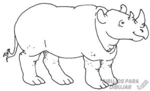 rinoceronte dibujos animados
