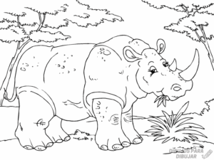 rinoceronte imagen