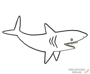 tiburones dibujos 1