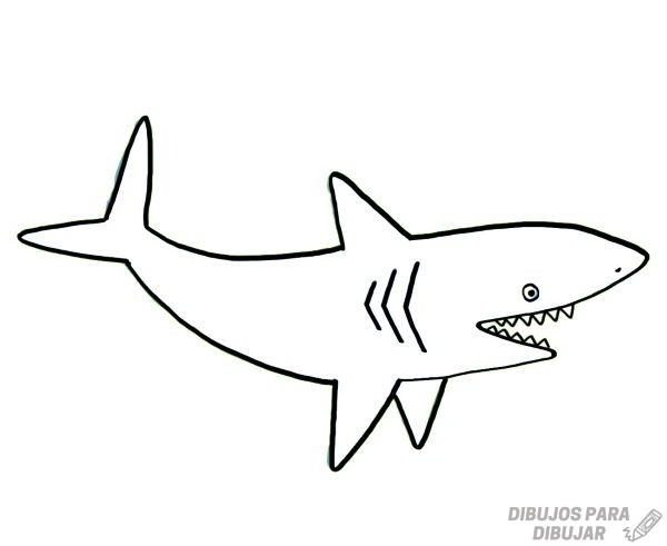 ????【+2150】Los mejores dibujos de Tiburones sencillos ⚡️