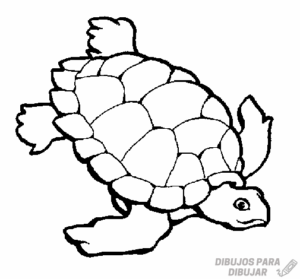 tortuga marina animada