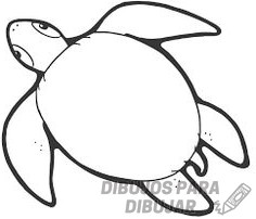 tortuga marina dibujo