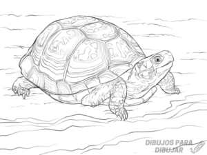 tortugas ninja dibujos animados